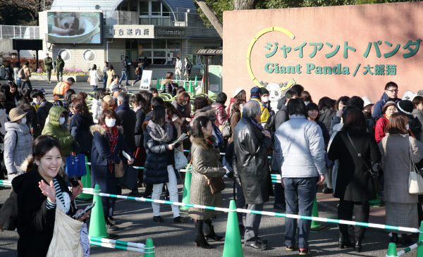 シャンシャンに会いたい 上野動物園で一般公開 写真特集 日本経済新聞