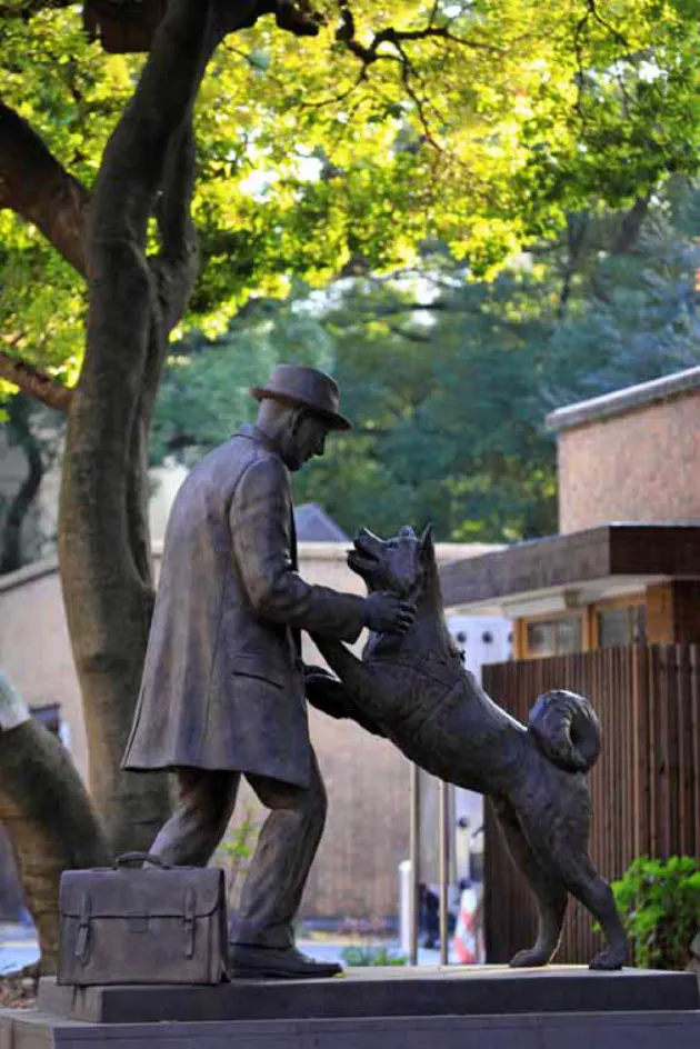 来年は戌年 感動の忠犬像に会いに行こう Nikkei Style 来年は戌年 感動の忠犬像に会いに行こう Nikkei Style