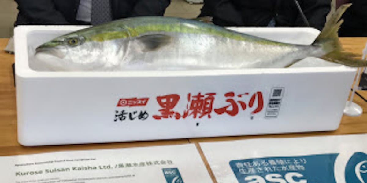 ブリで世界初の養殖国際認証 黒瀬水産 出荷増へ 日本経済新聞 ブリで世界初の養殖国際認証 黒瀬水産 出荷増へ 日本経済新聞