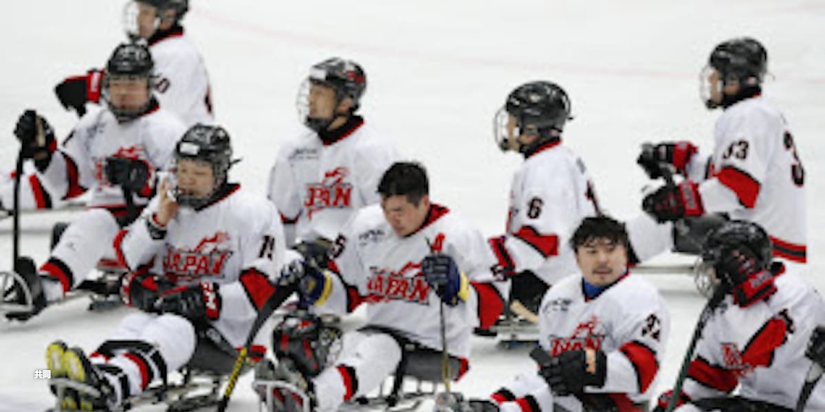 パラアイスホッケー 日本はチェコに敗れ最下位 日本経済新聞