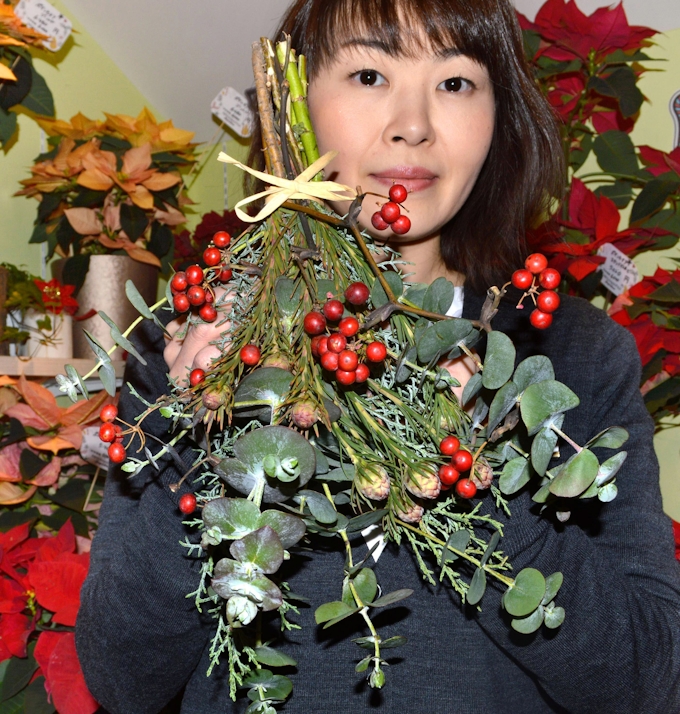 ユーカリ栽培各地で盛んに コアラ好物 鑑賞に人気 日本経済新聞