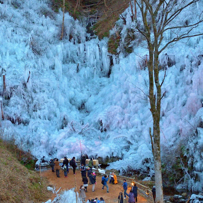 秩父の 三大氷柱 を巡るバスツアー 日本経済新聞 秩父の 三大氷柱 を巡るバスツアー 日本経済新聞