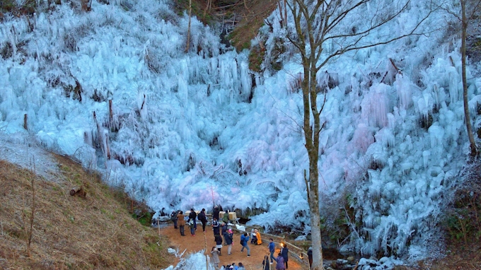 秩父の 三大氷柱 を巡るバスツアー 日本経済新聞