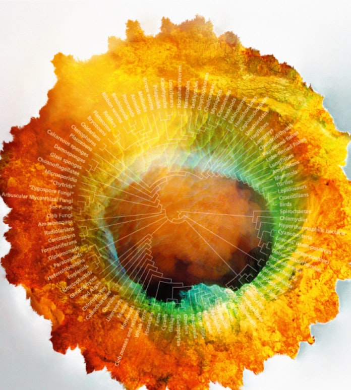 海ではなく陸かも 地球生命の起源に新説 日本経済新聞