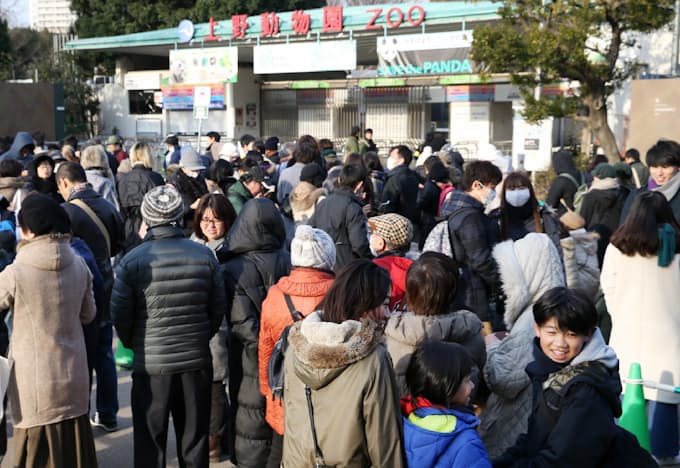 常に行列 上野動物園のパンダ シャンシャン 攻略法 ヒントは
