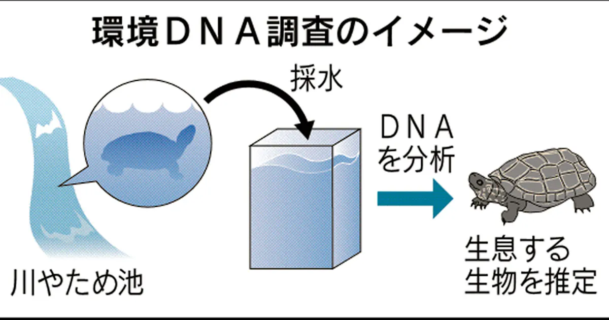 日本経済新聞