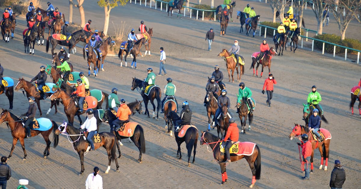 美浦トレセンの40年は 東西格差の30年 日本経済新聞 美浦トレセンの40年は 東西格差の30年 日本経済新聞
