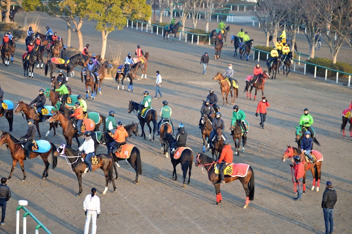 美浦トレセンの40年は 東西格差の30年 日本経済新聞 美浦トレセンの40年は 東西格差の30年 日本経済新聞
