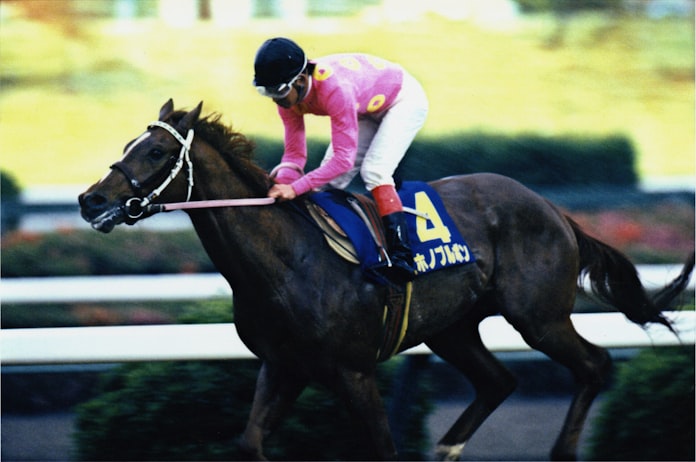 美浦トレセンの40年は 東西格差の30年 日本経済新聞 美浦トレセンの40年は 東西格差の30年 日本経済新聞