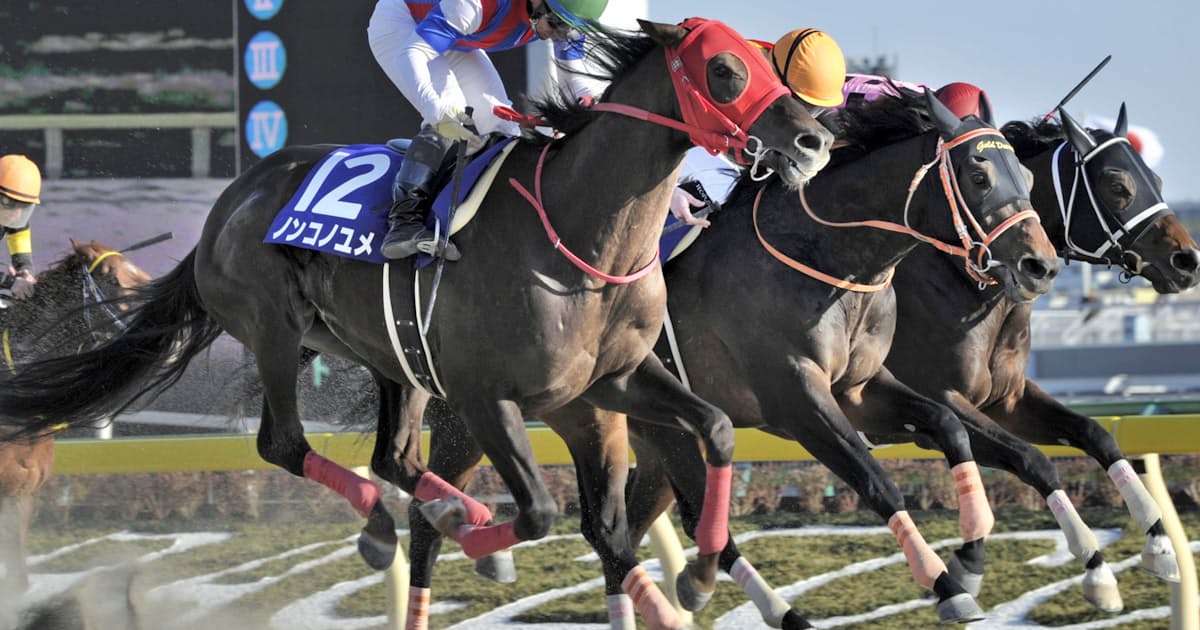 侮るなかれ 競馬ファンの ケントク買い 日本経済新聞 侮るなかれ 競馬ファンの ケントク買い 日本経済新聞