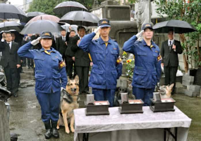 警察犬の慰霊碑 建立から50年 警視庁が慰霊祭 日本経済新聞