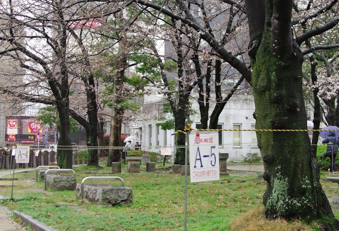 花見の一等地 有料に 福岡県 天神中央公園で 日本経済新聞 花見の一等地 有料に 福岡県 天神中央公園で 日本経済新聞