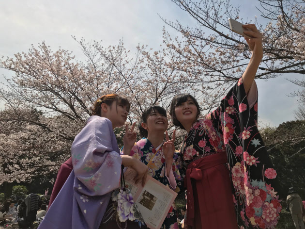 桜に集う 北の丸公園 満開の卒業式 日本経済新聞