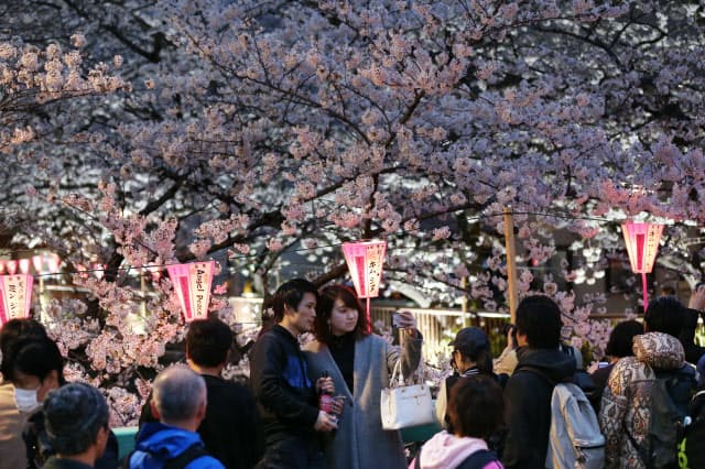 住宅街に300万人 桜満開 目黒川のリスク管理 Nikkei Style 住宅街に300万人 桜満開 目黒川のリスク管理 Nikkei Style