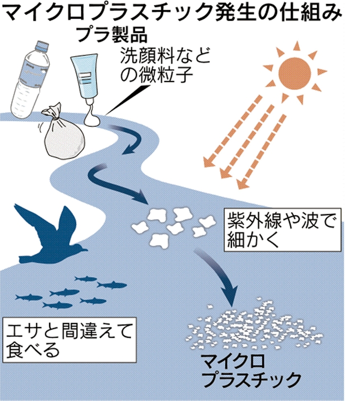 微細プラごみ 海を汚染 新たな地球環境問題に 日本経済新聞