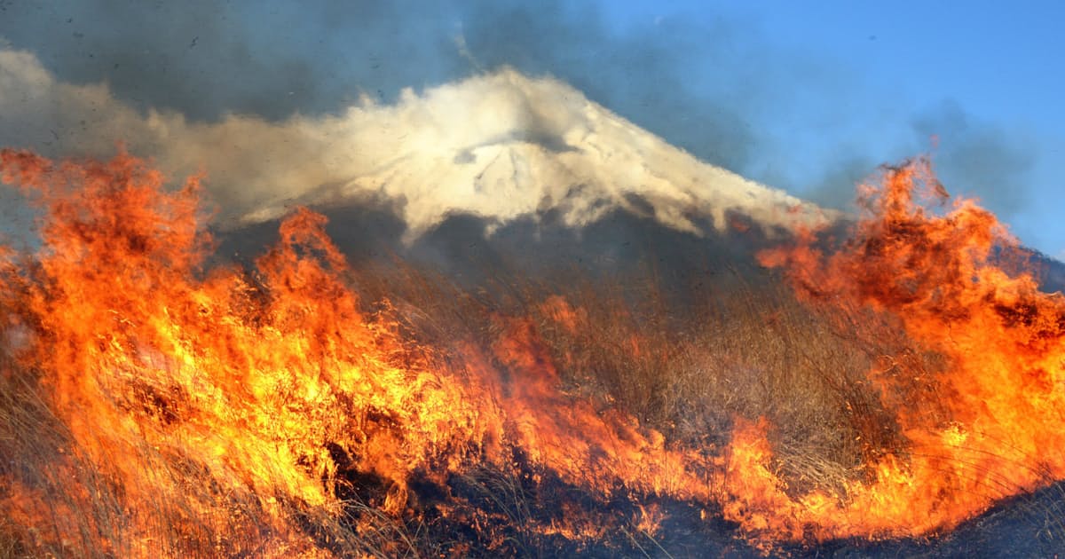 富士山の裾野で炎が舞う 演習場で春恒例の 火入れ 日本経済新聞 富士山の裾野で炎が舞う 演習場で春恒例の 火入れ 日本経済新聞
