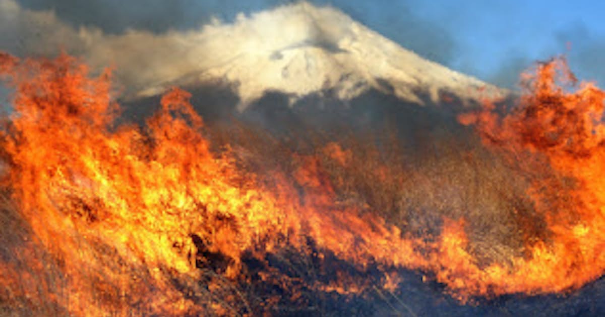 富士山の裾野で炎が舞う 演習場で春恒例の 火入れ 日本経済新聞 富士山の裾野で炎が舞う 演習場で春恒例の 火入れ 日本経済新聞