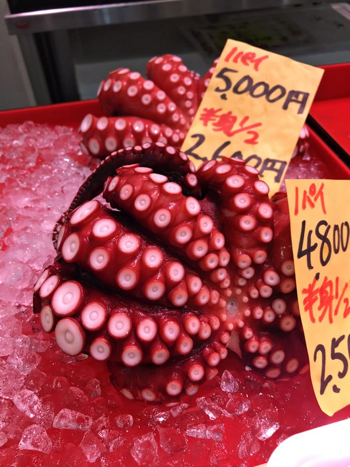 タコ値上がり デビルフィッシュ 世界に広がる 日本経済新聞 タコ値上がり デビルフィッシュ 世界に広がる 日本経済新聞