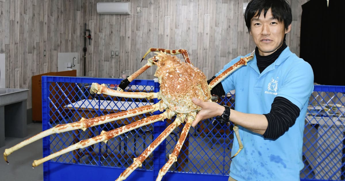 日本一お金ない 水族館が奮闘 エビ カニで集客 和歌山南部 日本経済新聞 日本一お金ない 水族館が奮闘 エビ カニで集客 和歌山南部 日本経済新聞