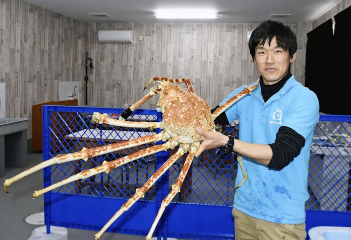 日本一お金ない 水族館が奮闘 エビ カニで集客 和歌山南部 日本経済新聞 日本一お金ない 水族館が奮闘 エビ カニで集客 和歌山南部 日本経済新聞