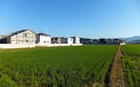 和歌山市の岡崎地区では急速に農地転用が進んだ（2017年11月）