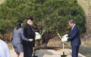 記念に松を植樹する文在寅大統領（右）と金正恩委員長（27日、板門店）=韓国共同写真記者団・共同