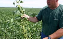 中国は米国産大豆に報復の照準を絞る（米中西部の大豆農場）