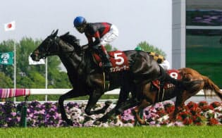 サングレーザーなどのレースぶりに注目=JRA提供 サングレーザーなどのレースぶりに注目=JRA提供