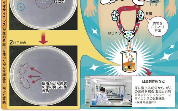 シミックファーマサイエンス のニュース一覧 日本経済新聞