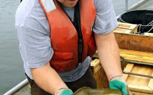絶滅が心配されているアメリカウナギ=米魚類野生生物局提供・共同
