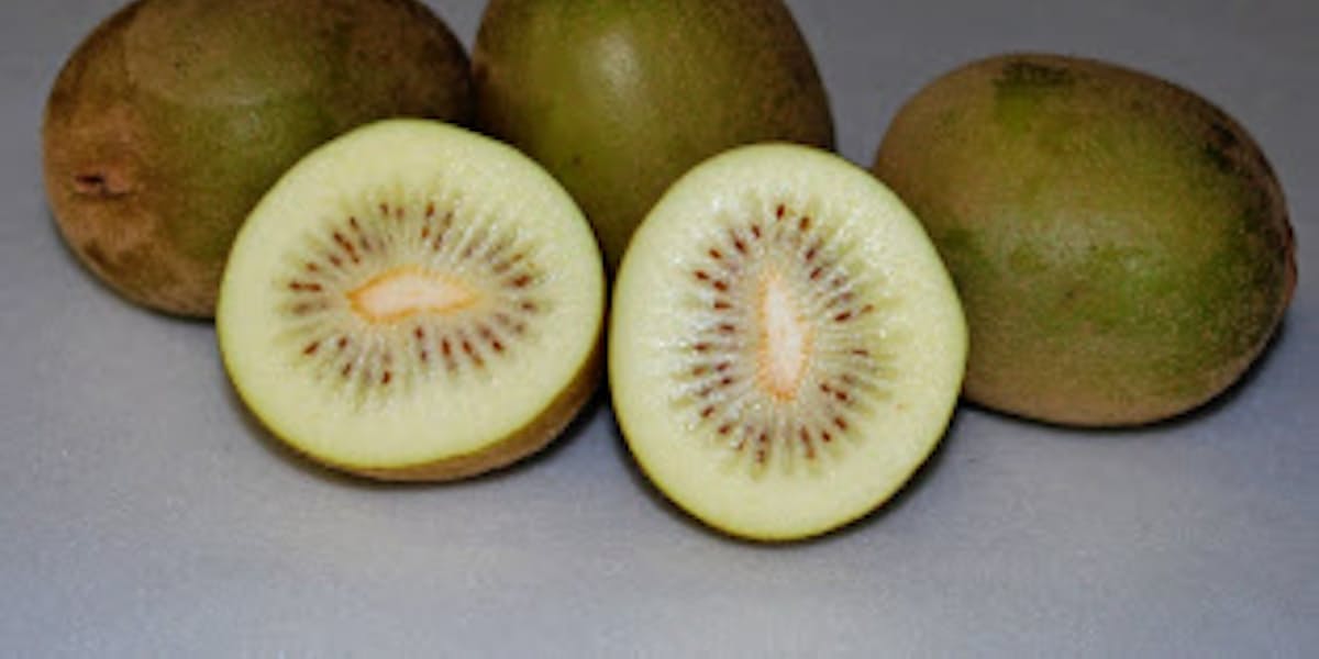 静岡県 キウイフルーツの新種2種を開発 日本経済新聞