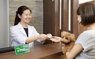 ペット保険に加入していれば、ペットの急なケガや病気のときに金銭的不安が軽減される