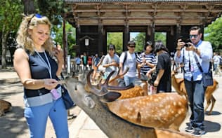 訪日外国人でにぎわう奈良公園（奈良市）
