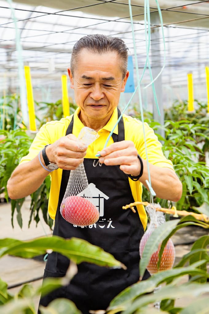 おいしいマンゴー Aiで 東洋インキ 新興 日本経済新聞