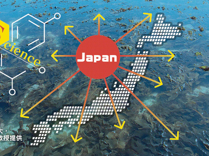 日本のワカメやクズ 異国で大繁殖 逆の外来種問題に 日本経済新聞 日本のワカメやクズ 異国で大繁殖 逆の外来種問題に 日本経済新聞