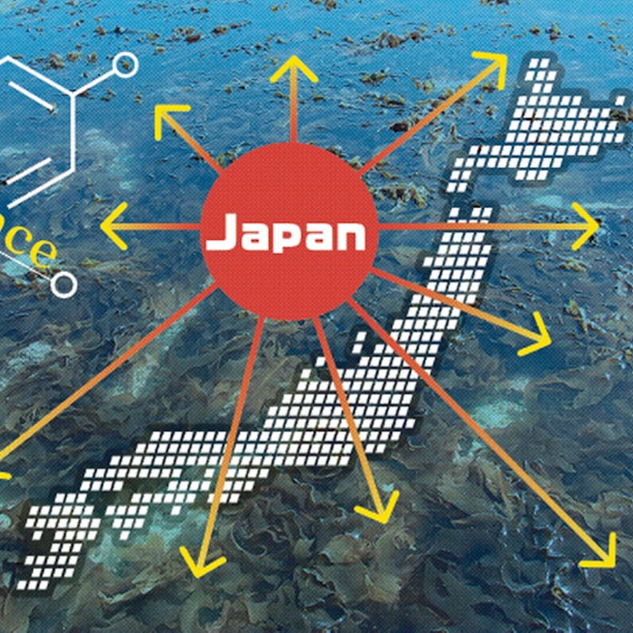日本のワカメやクズ 異国で大繁殖 逆の外来種問題に 日本経済新聞 日本のワカメやクズ 異国で大繁殖 逆の外来種問題に 日本経済新聞