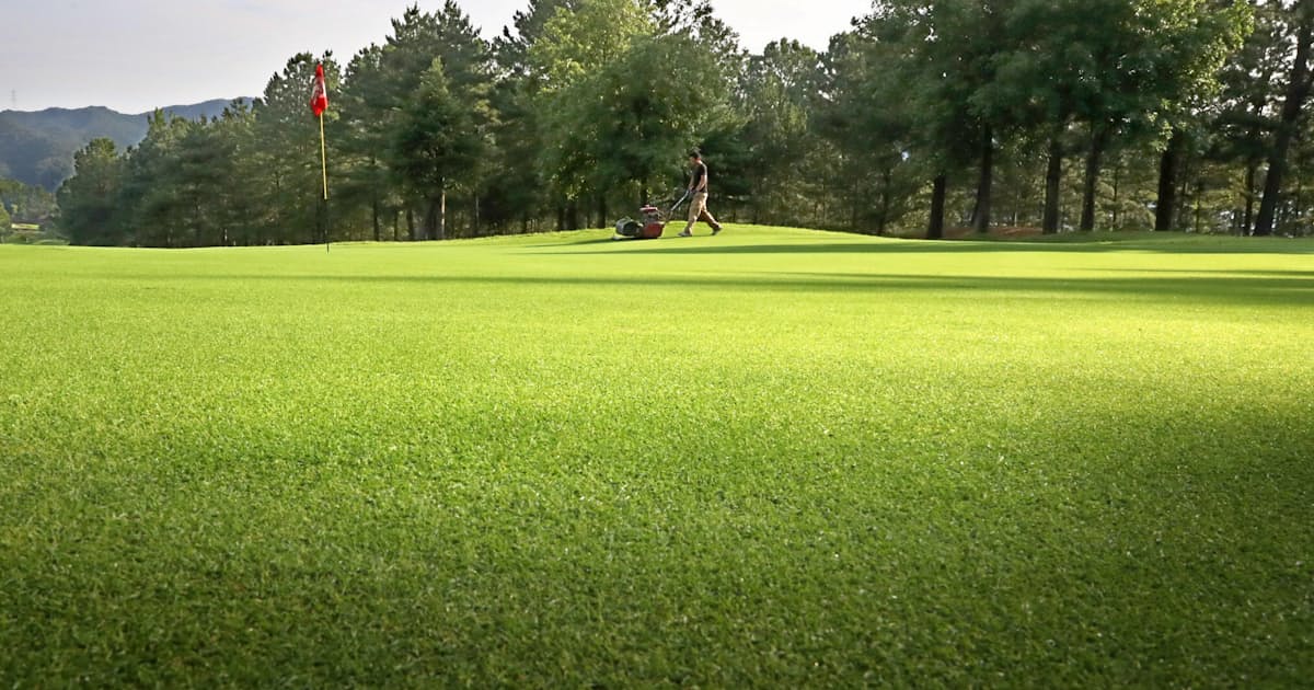 ドラマ生む起伏 滑らかに 六甲国際ゴルフ倶楽部の芝管理 もっと関西 日本経済新聞