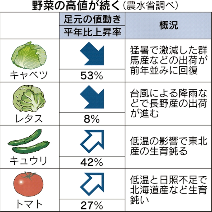 葉物野菜の高騰一服 キュウリやトマトは高く 日本経済新聞