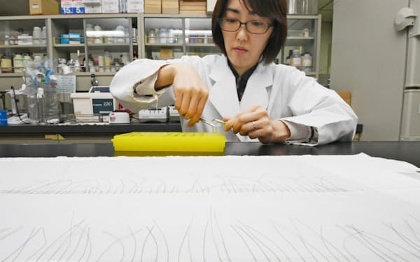 清水恵子 のニュース一覧 日本経済新聞 清水恵子 のニュース一覧 日本経済新聞