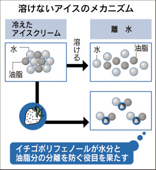 溶けないアイス 増産 新工場 生産能力6倍 金沢大発の企業 日本経済新聞 溶けないアイス 増産 新工場 生産能力6倍 金沢大発の企業 日本経済新聞