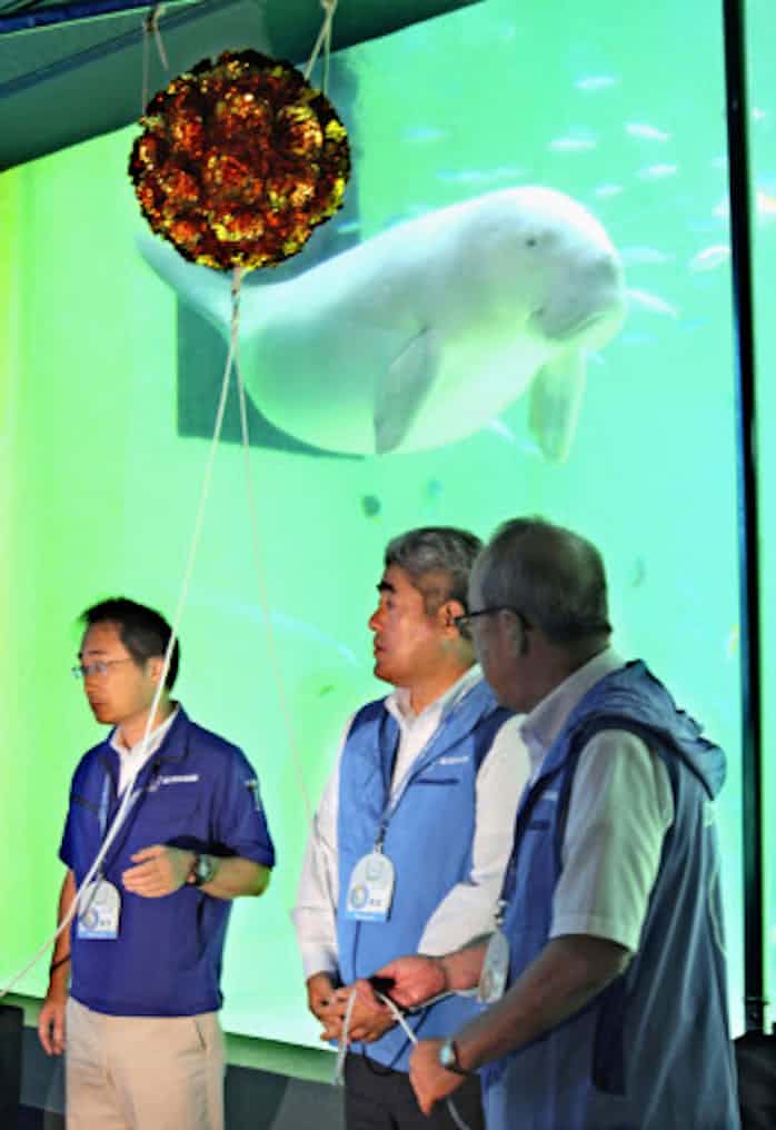 ジュゴン飼育 世界最長 31年間 三重 鳥羽水族館 日本経済新聞