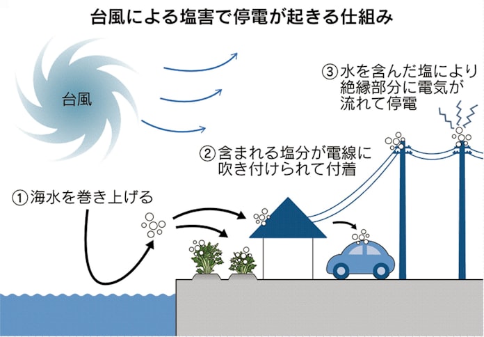 台風去って 塩害 残す 野菜枯れ 電線で火花 日本経済新聞 台風去って 塩害 残す 野菜枯れ 電線で火花 日本経済新聞