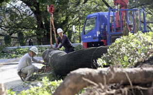 台風24号では倒木や停電が発生した(1日、東京都港区)=共同 台風24号では倒木や停電が発生した(1日、東京都港区)=共同
