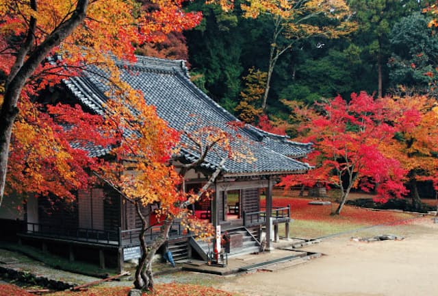 古来、錦の里と称されてきた正暦寺の紅葉。3000本を超える木々が色づく