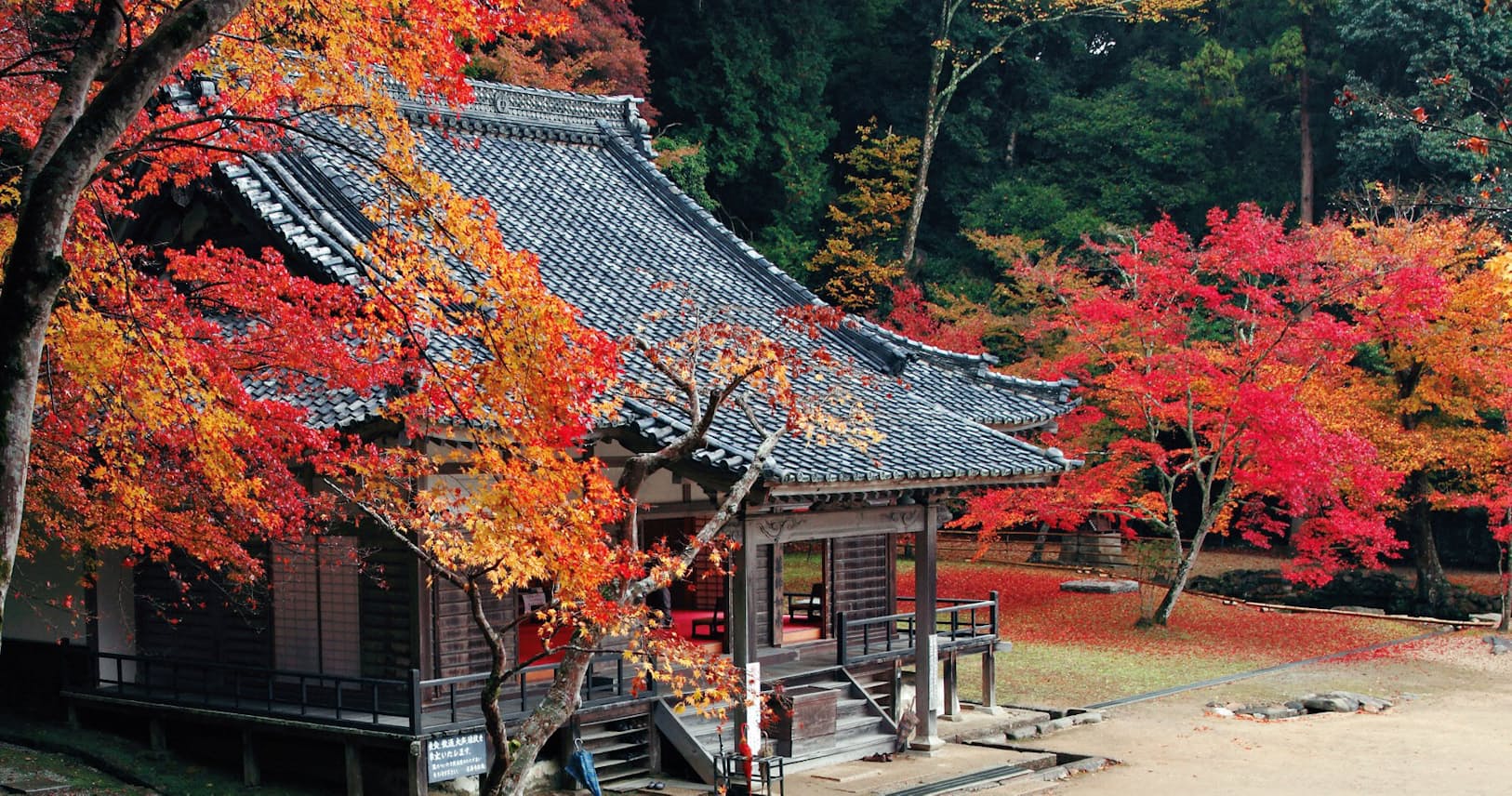 紅葉の奈良 4つの穴場巡り 撮影のコツは 逆光 Nikkei Style 紅葉の奈良 4つの穴場巡り 撮影のコツは 逆光 Nikkei Style