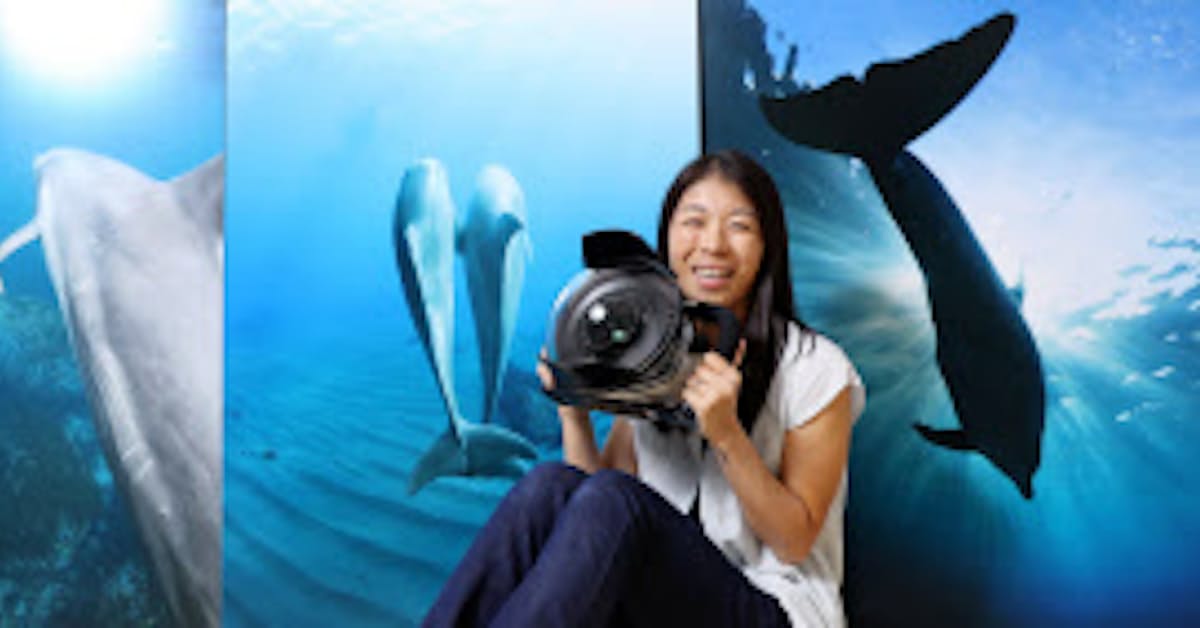 野生イルカに恋して 水中写真家の高縄奈々さん 日本経済新聞