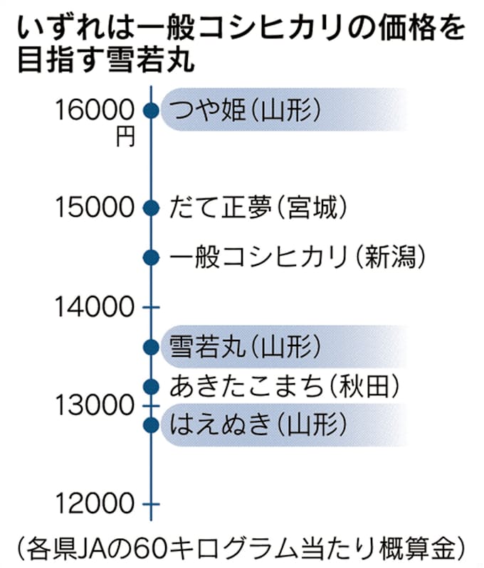 山形県 雪若丸 本格販売 ブランド米2枚看板期待 日本経済新聞