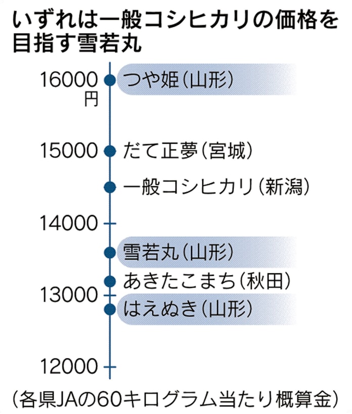 山形県 雪若丸 本格販売 ブランド米2枚看板期待 日本経済新聞 山形県 雪若丸 本格販売 ブランド米2枚看板期待 日本経済新聞