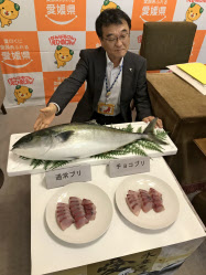 チョコブリ 色味長持ち 愛媛県 養殖魚の変色防ぐ新技術 日本経済新聞