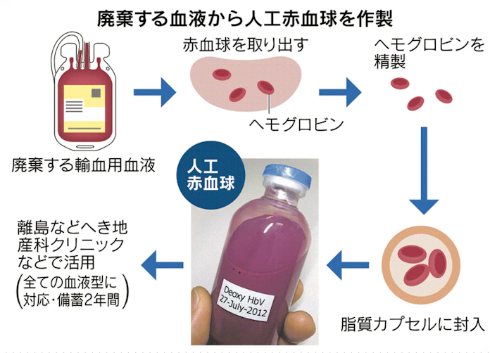人工赤血球 廃棄する血液を有効利用 2年間備蓄 日本経済新聞